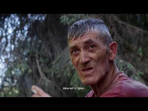 Olanda | FILMFEST HAMBURG