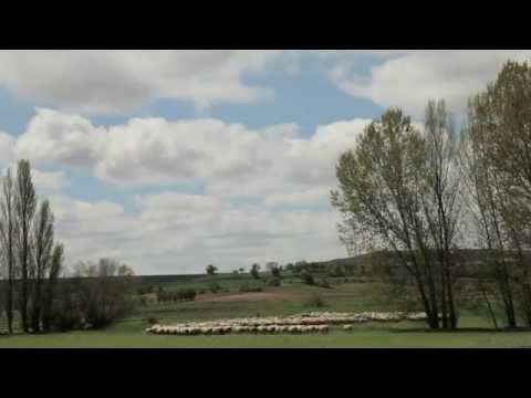 Trailer SEIT DIE WELT WELT IST