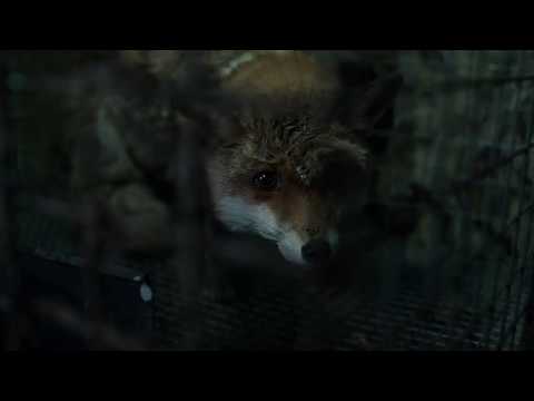 SPOOR (Pokot) by Agnieszka Holland - Trailer