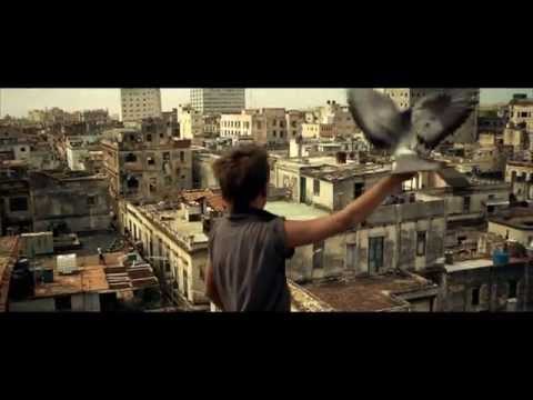 Trailer &quot;Conducta&quot;