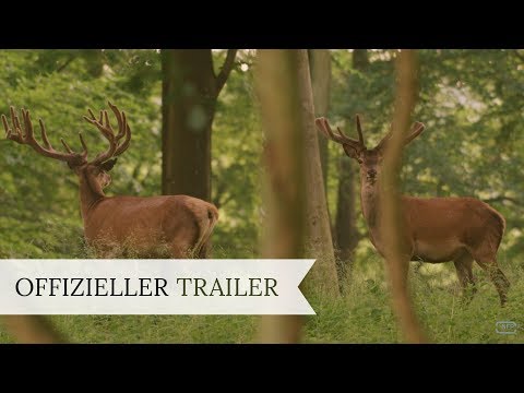AUF DER JAGD - WEM GEHÖRT DIE NATUR | Trailer | Deutsch HD German