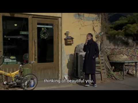 on the beach at night alone trailer