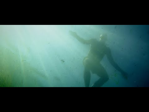 Trailer | Tara | Sattel Volker, Francesca Bertin