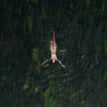 To tylko/ aż ciało.. albo krótki film o wolności