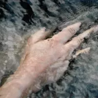 Was an Empfindsamkeit bleibt