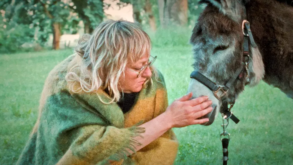 Donkey Days